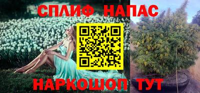 apvp Анапа