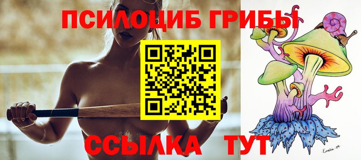 Мурино  купить  цена  Вход с VPN  Галлюциногенные грибы мицелий 
