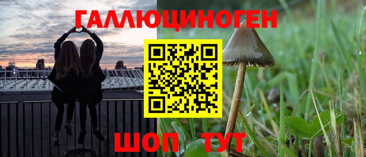 Псилоцибиновые грибы MAGIC MUSHROOMS Мурино