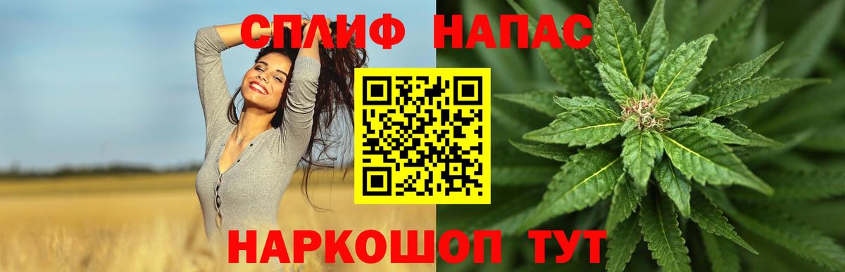Бошки марихуана планчик Мурино